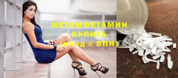 мдпв Инсар