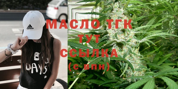 мдпв Инсар
