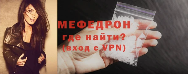мдпв Инсар