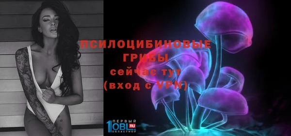 крисы Каменка