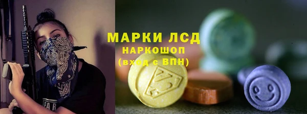 мдпв Инсар