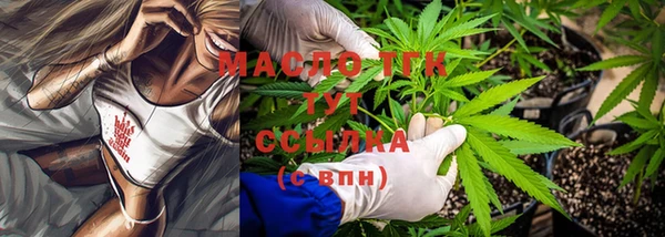 крисы Каменка