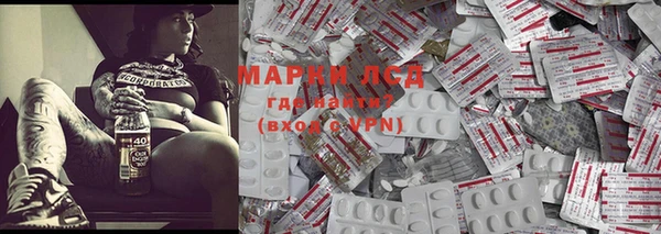 крисы Каменка