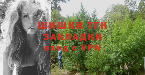 мдпв Инсар