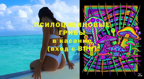 шишки Зеленокумск