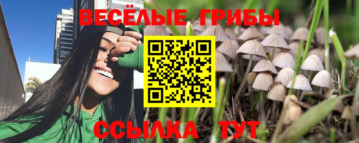 Псилоцибиновые грибы Psilocybe  Вход с VPN  Октябрьский 